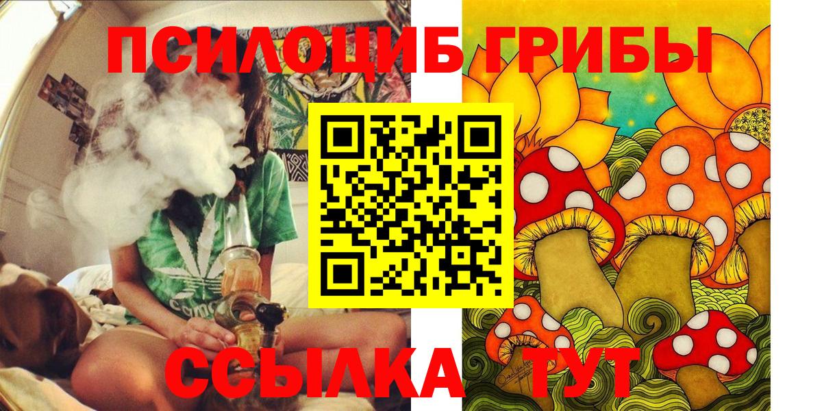 Псилоцибиновые грибы Cubensis Псков