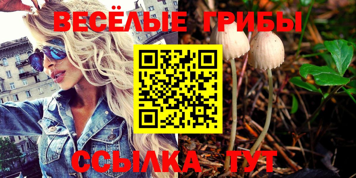 хочу   Галлюциногенные грибы прущие грибы  Вход с VPN  Псков 